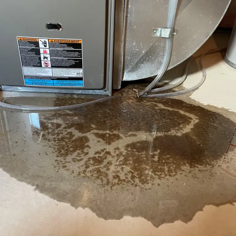 Appliance Leak Cleanup in Butler County, MO