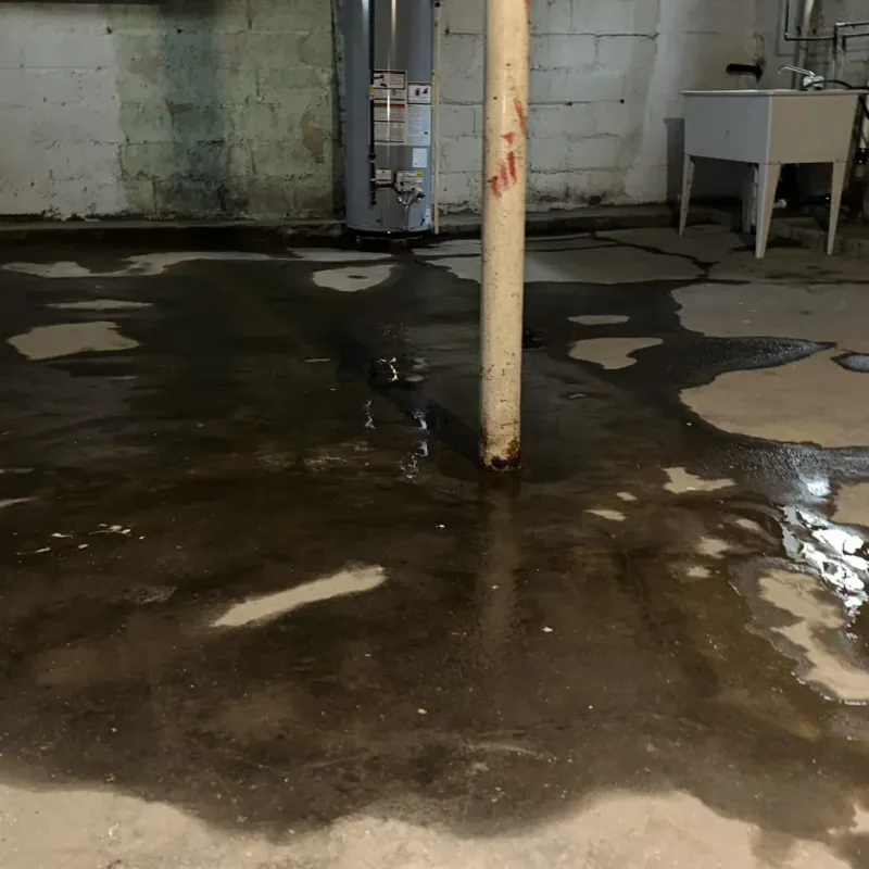 Emergency Water Extraction And Removal in Butler County, MO